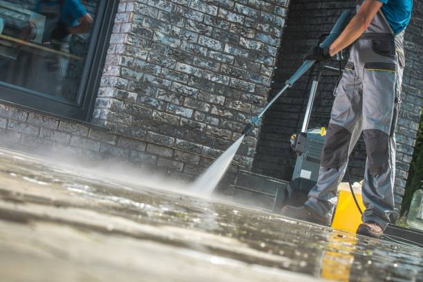 Best Fence Cleaning  in Kenmore, WA